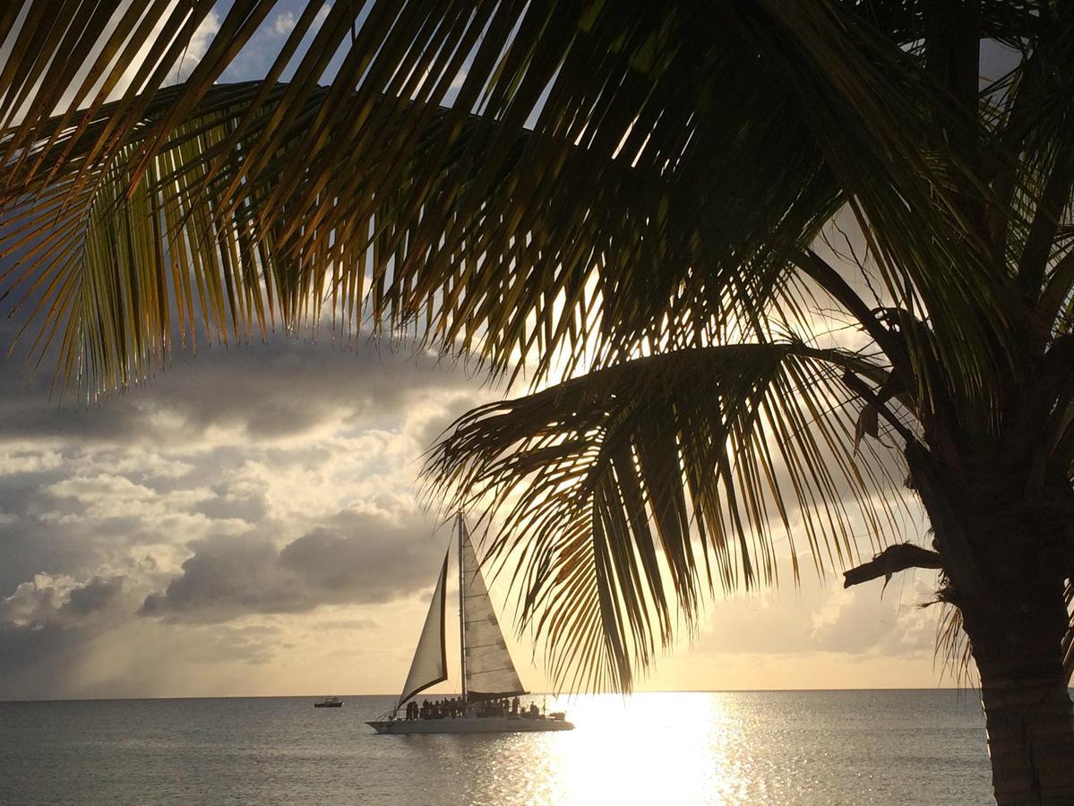 Sand Castle On The Beach - Adults Only Frederiksted Экстерьер фото